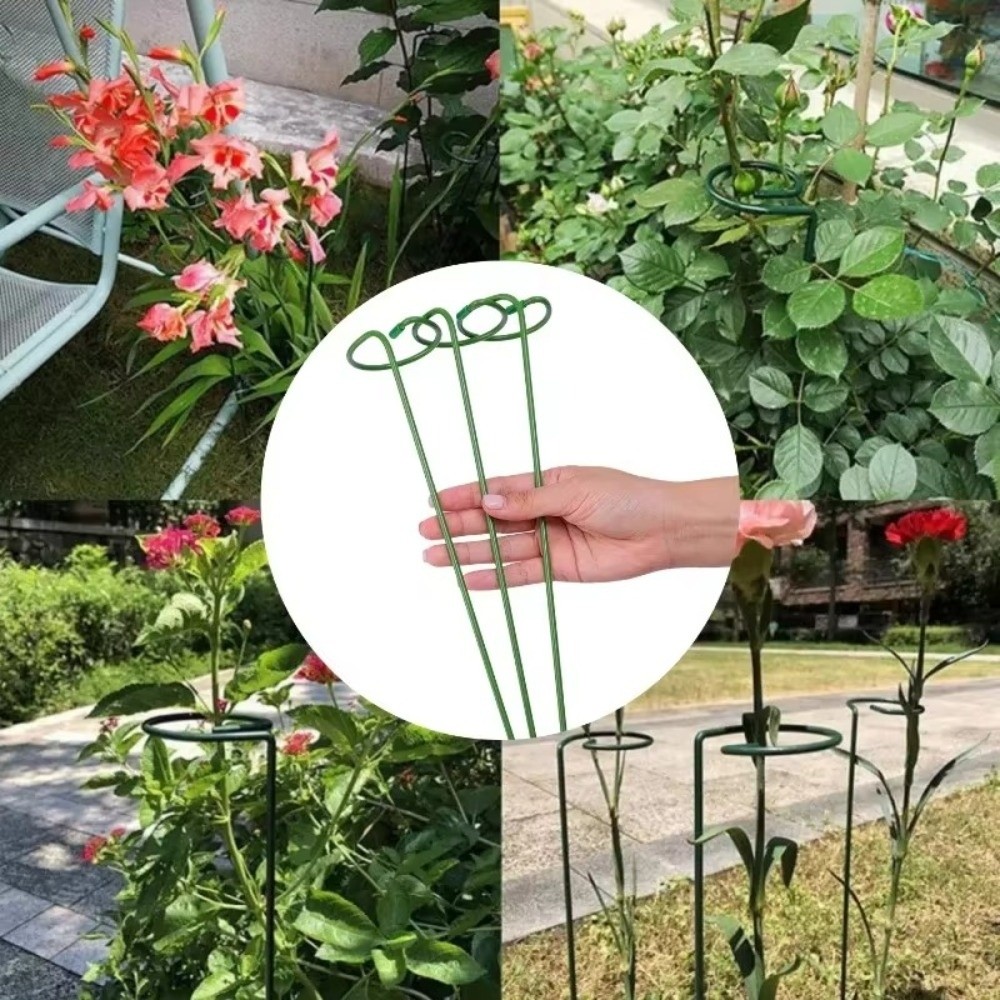 New Metal Support Frame Anti-d - Plant Parent Tools review and price