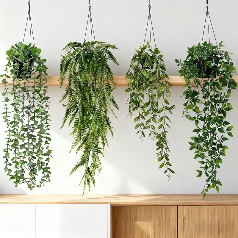 4pcs Hanging Greenery Set Real - String Of Pearls Plant review and price