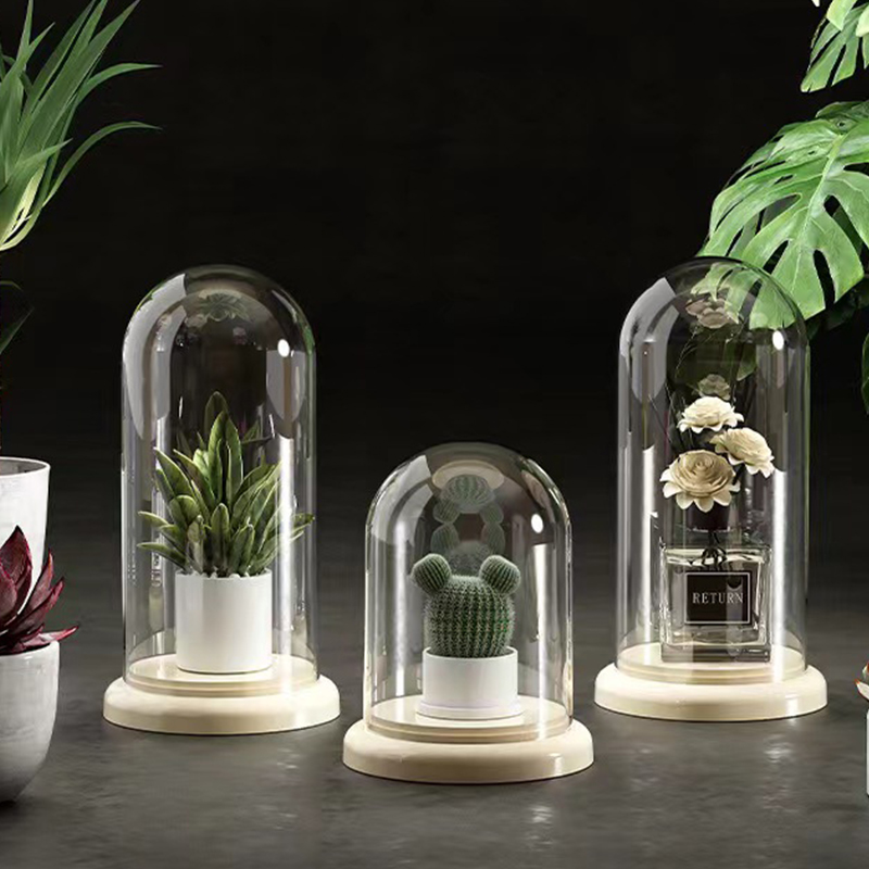 Flower Cover With Base Dome Co - Plant Parent Gifts review and price