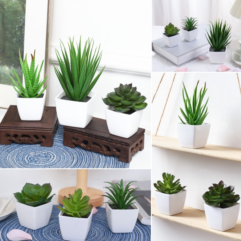 (A set of 3PCS) Simulated Mini - String Of Pearls Plant review and price