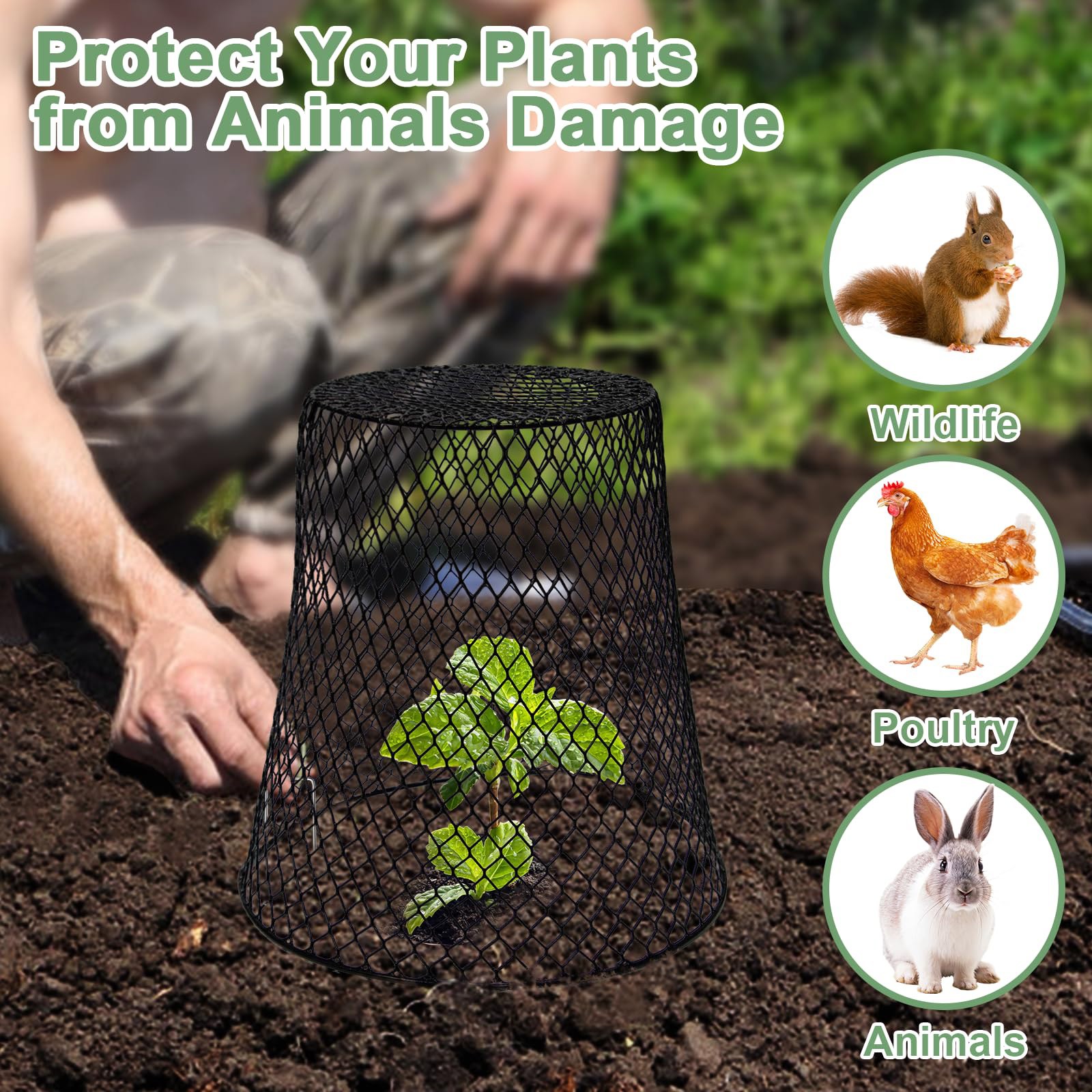 Chicken Wire Cloche Plants Slu - Plant Parent Tools review and price