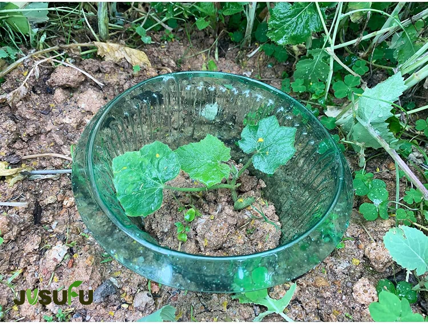 1/30pcs Plants Slug Protection - Plant Parent Tools review and price