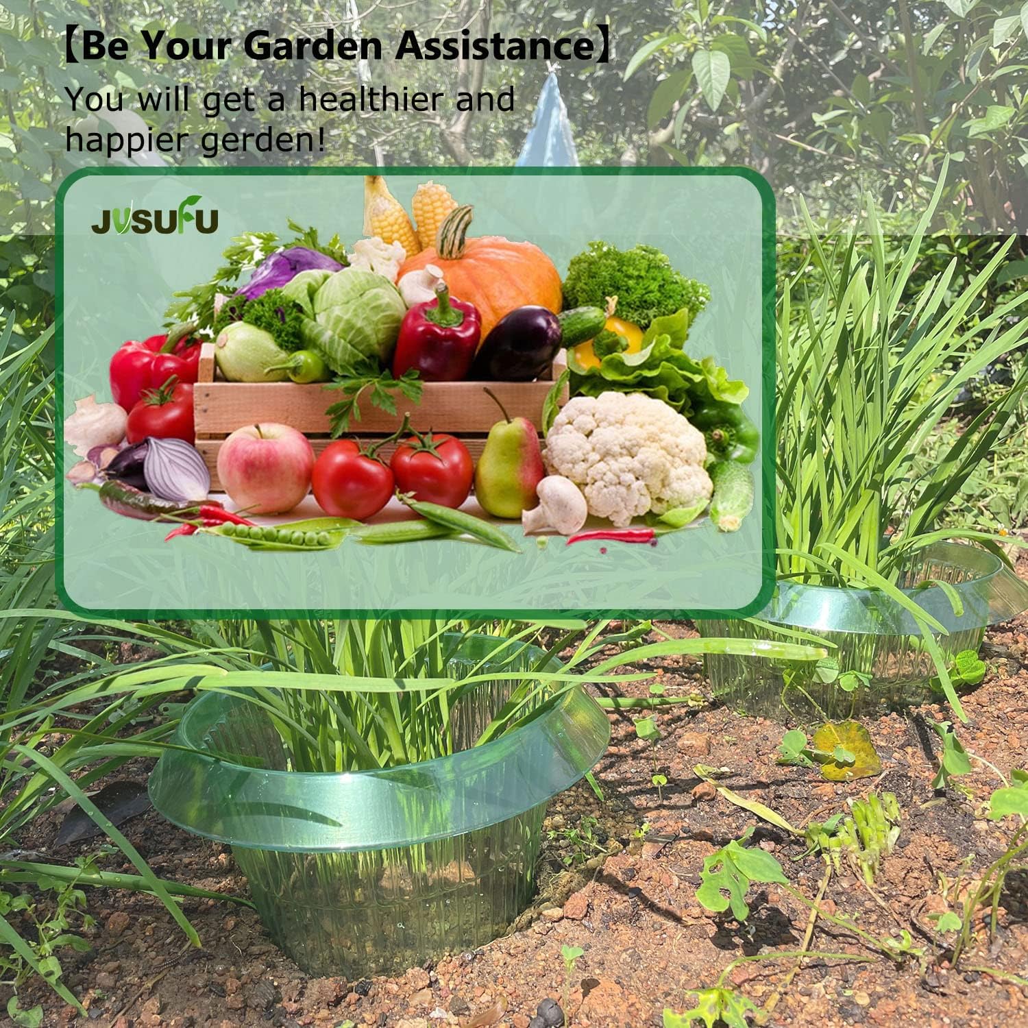 1/30pcs Plants Slug Protection - Plant Parent Tools review and price