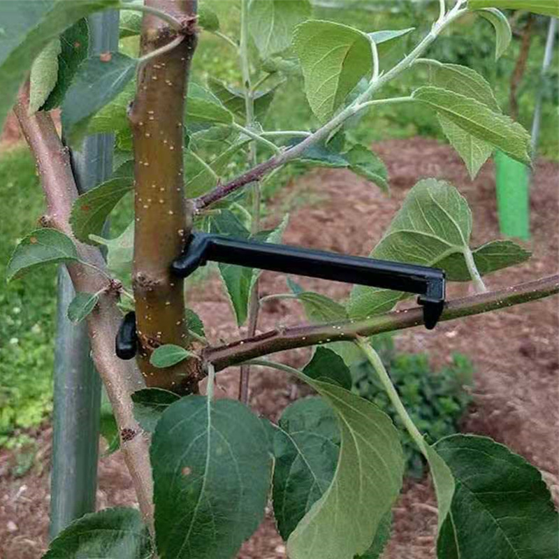 10-30Pcs Fruit Tree Clips Plan - Plant Parent Tools review and price