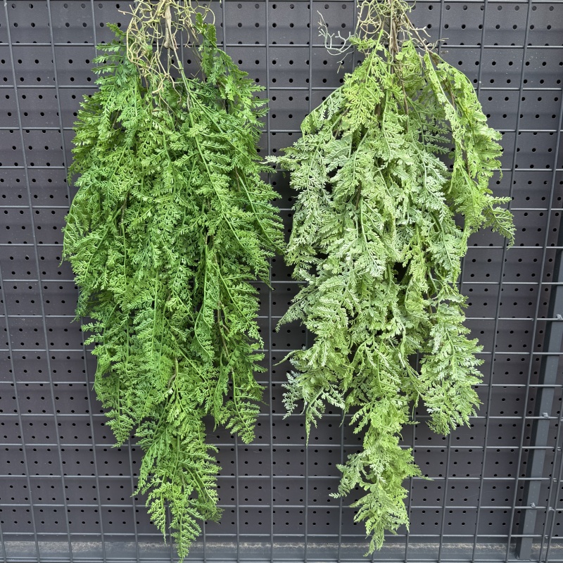 Realistic Plastic Hanging Vine - String Of Pearls Plant review and price