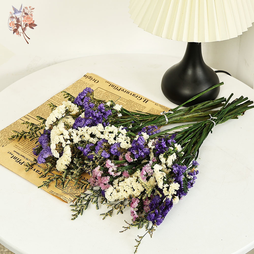 100g Natural Real Forget-me-no - Plant Parent Gifts review and price