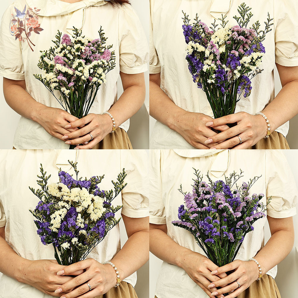100g Natural Real Forget-me-no - Plant Parent Gifts review and price