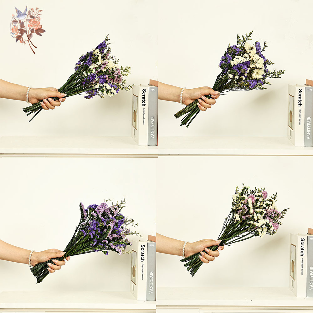100g Natural Real Forget-me-no - Plant Parent Gifts review and price